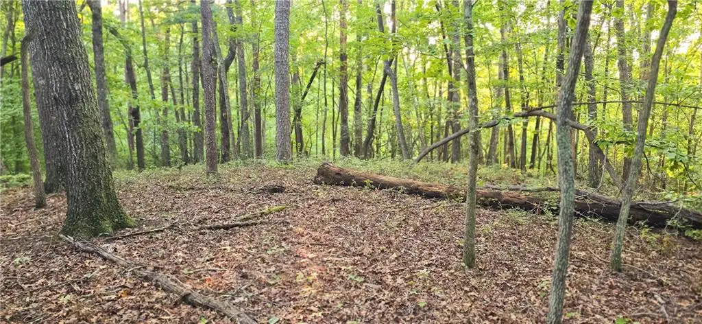 0 Seye Wailo Trail, Clarkesville, GA 30523 - #1
