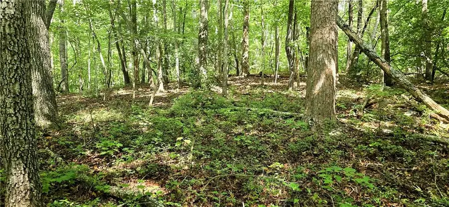 0 Seye Wailo Trail, Clarkesville, GA 30523 - #2