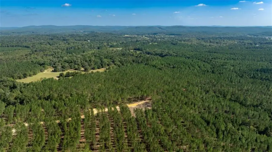 TRACTS Livingston Rd Sw, Rome, GA 30161 - #3