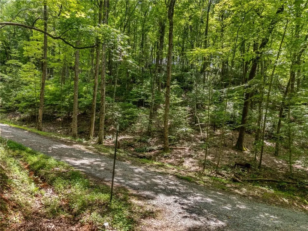0 Jagger Run, Blue Ridge, GA 30513 - #1