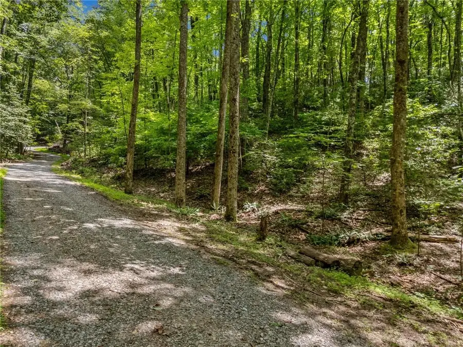 0 Jagger Run, Blue Ridge, GA 30513 - #2