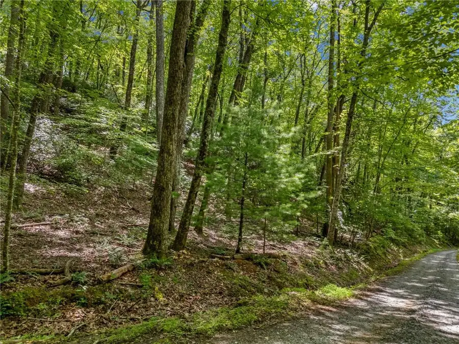 0 Jagger Run, Blue Ridge, GA 30513 - #3