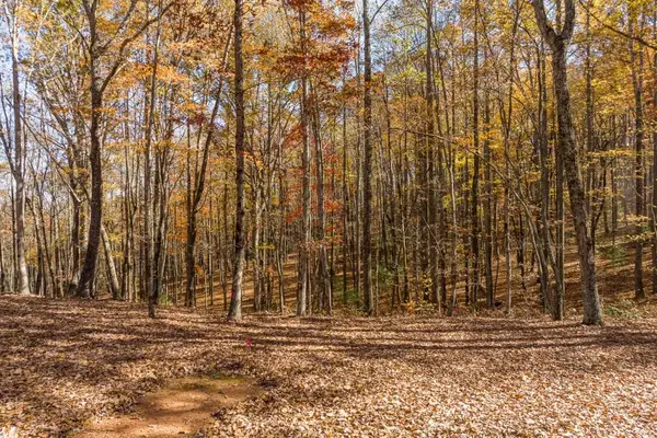 LT 17R Tanager Trail, Ellijay, GA 30536