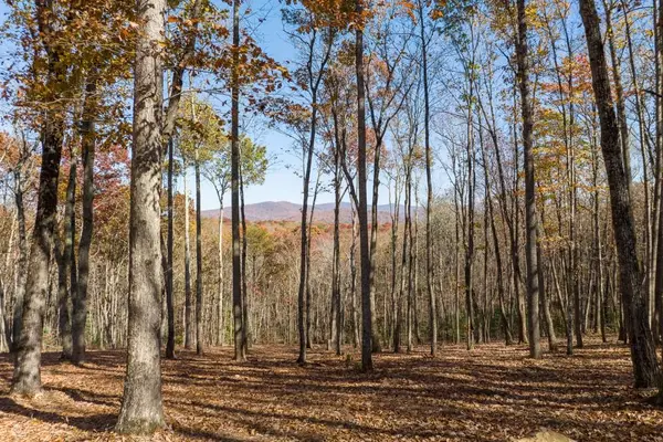 19R Settlement Trail, Ellijay, GA 30536