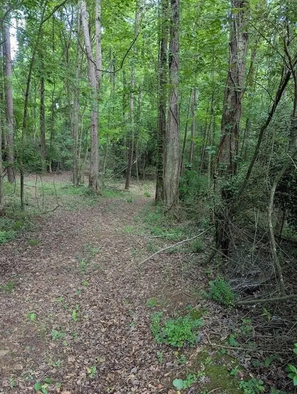 2773 River Road, Ellenwood, GA 30294 - #1