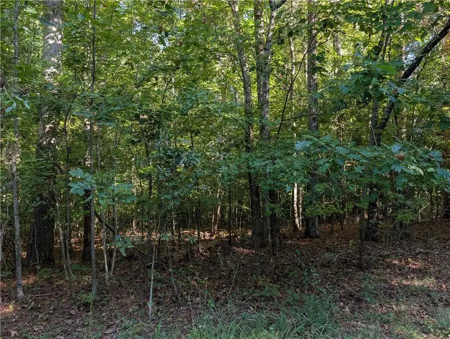 1518 Kelly Mill Road, Cumming, GA 30040 - #3