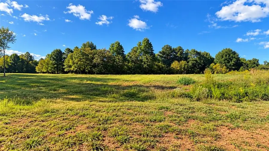 8005 Grand Meadow Run, Gainesville, GA 30506 - #2