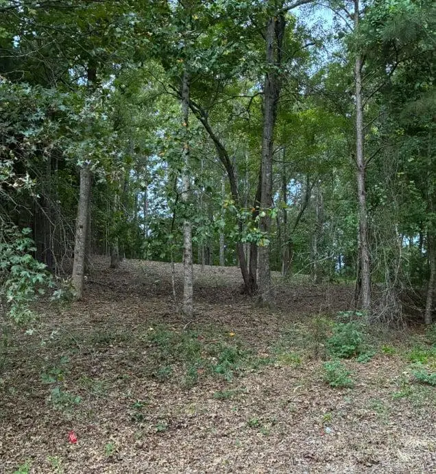 126 Big Cotton Trail, McDonough, GA 30252 - #3