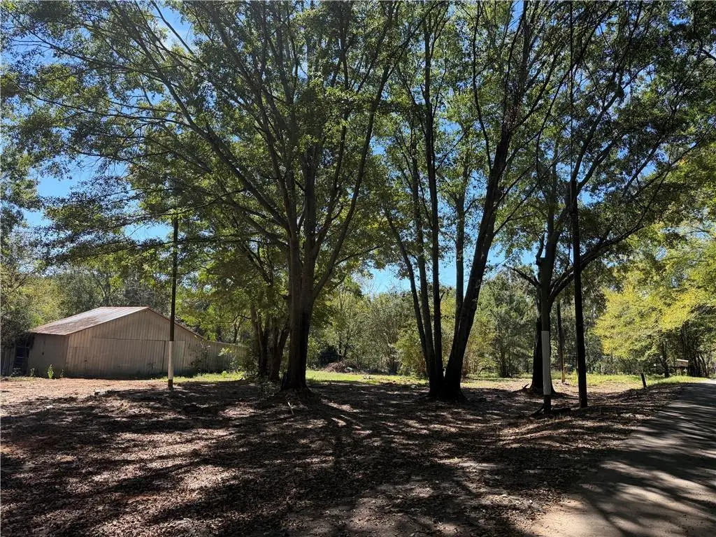 51 Merk Road, Maysville, GA 30558 - #1