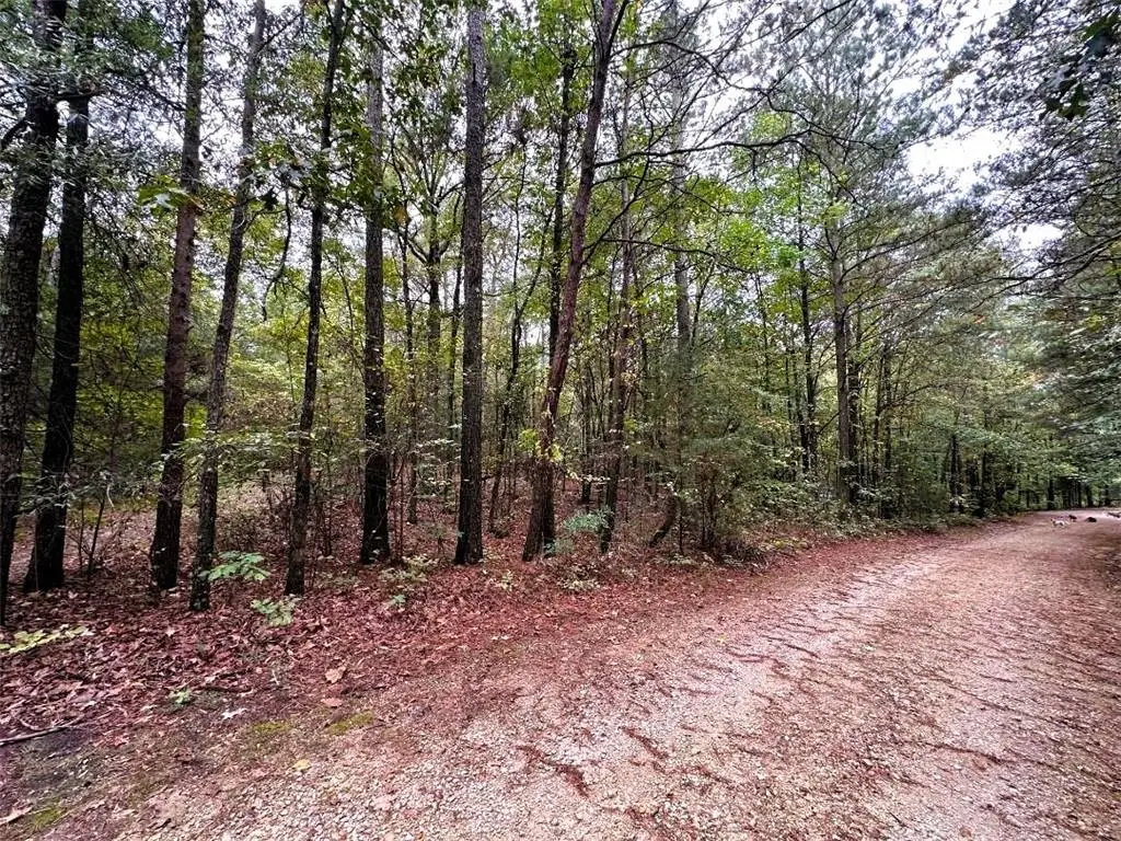 Lot 17 Lakeview Circle Ne, Ranger, GA 30734 - #1