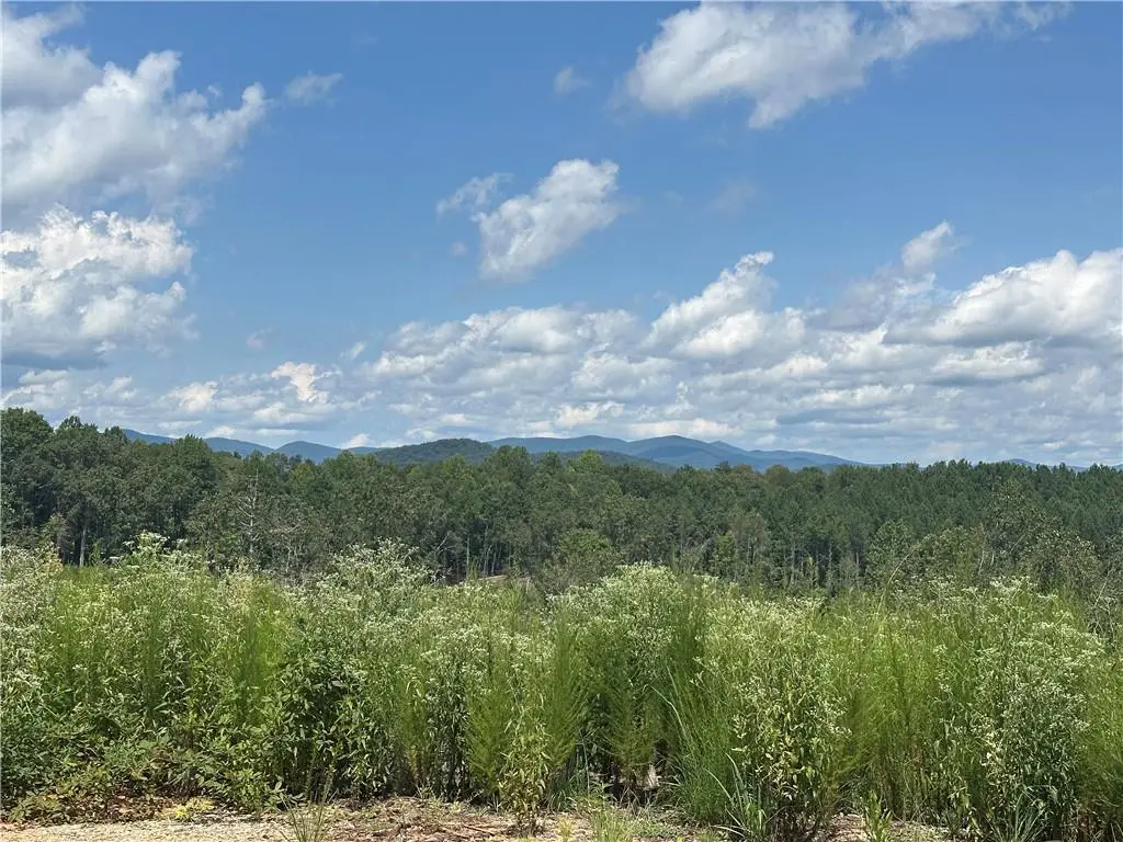 0 Larmon Forks Road, Dahlonega, GA 30533 - #1