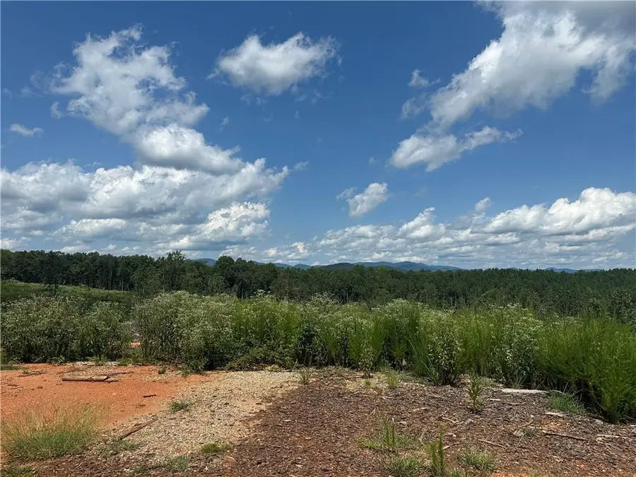 0 Larmon Forks Road, Dahlonega, GA 30533 - #2