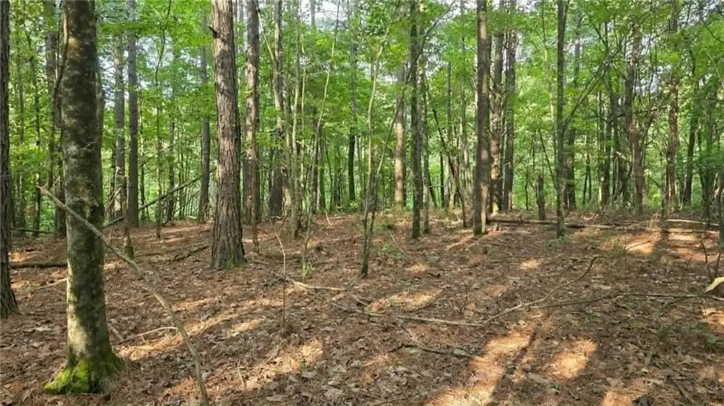 2 Lucas Lane, Dallas, GA 30132 - #1
