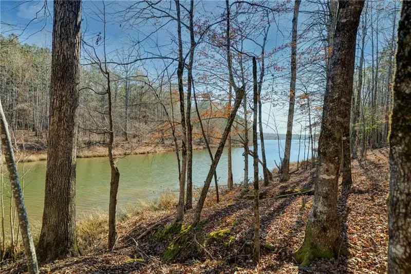 689 Moccasin Gap Road, Jackson, GA 30233 - #2