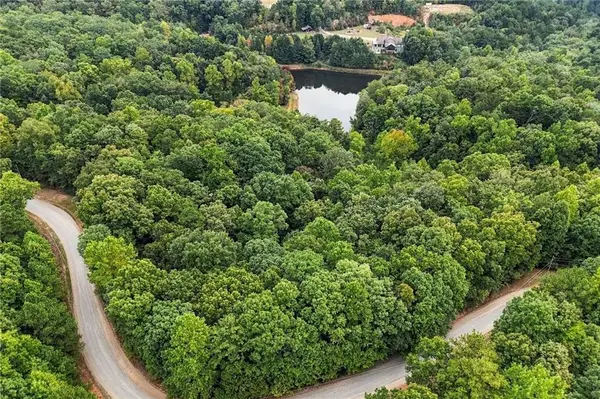 0 Lakeland Drive, Ellijay, GA 30540