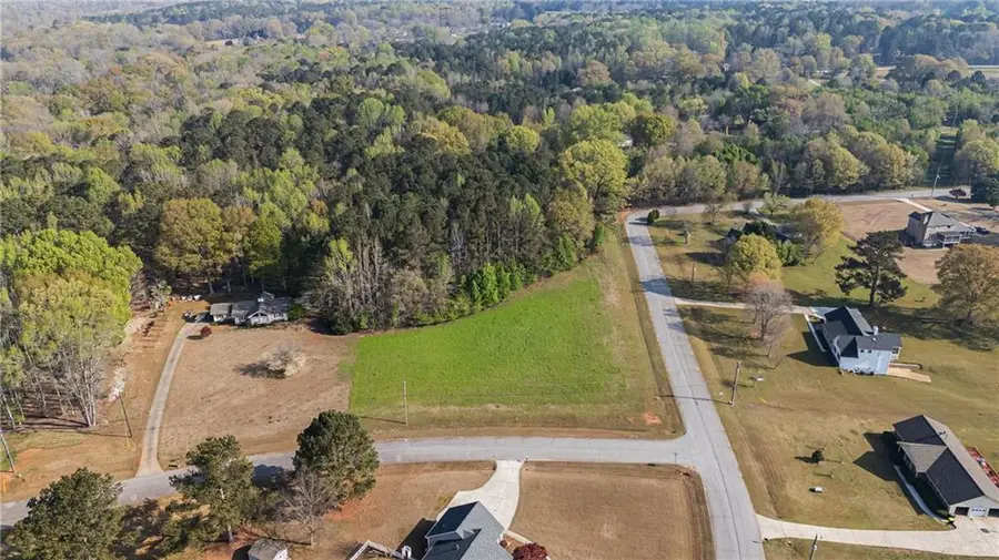 0 Bear Creek Trail, Hampton, GA 30228 - #2