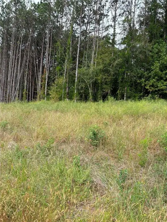 5311 Woodstock Road, Acworth, GA 30102 - #2