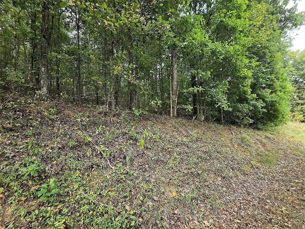 0 Big Oak Tree Road, Adairsville, GA 30103 - #1