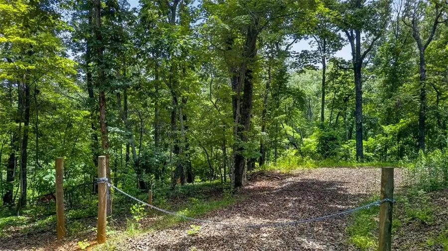2022 Pleasant Union Road, Canton, GA 30114 - #3