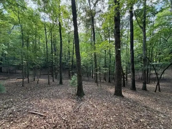 556 Satsuma Court S, Ellijay, GA 30540