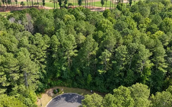 120 Hawks Court, Ball Ground, GA 30107