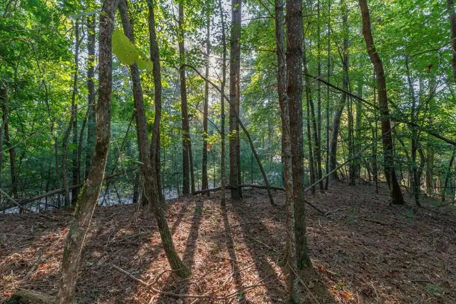 LT3234 Eagle Mountain, Ellijay, GA 30536 - #2