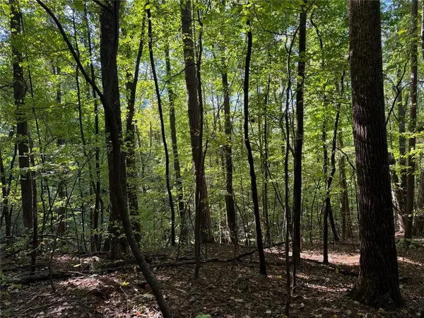 J349 Mountain View Court, Ellijay, GA 30536