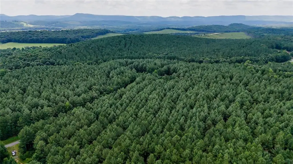 0 Tract 5 Back Valley Road, Lyerly, GA 30730 - #1