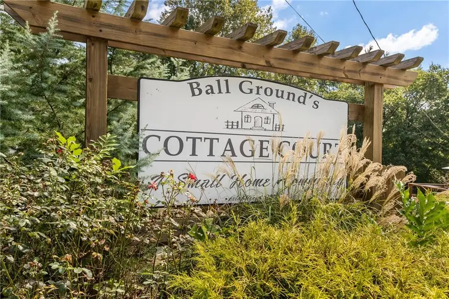 316 Cottage Court, Ball Ground, GA 30107 - #2