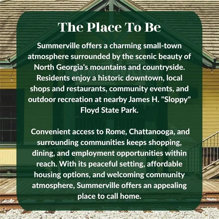 196 N Elizabeth Street, Summerville, GA 30747 - #3