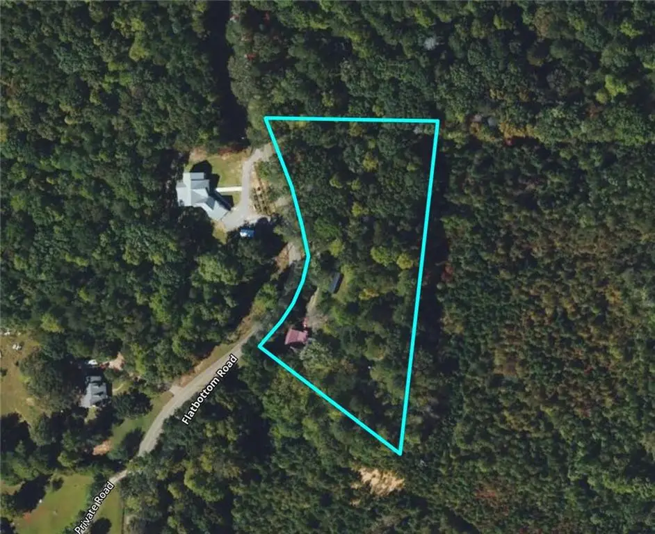 469 Flatbottom Road, Ball Ground, GA 30107 - #1