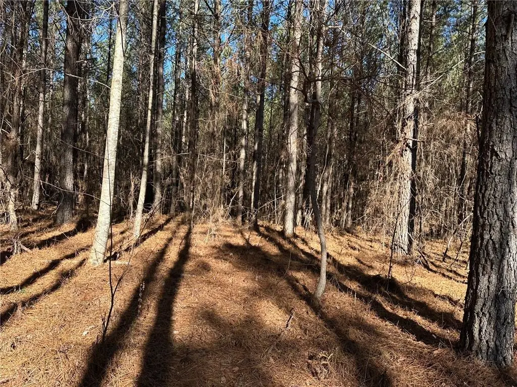 1107 Larmon Forks Road, Dahlonega, GA 30533 - #1