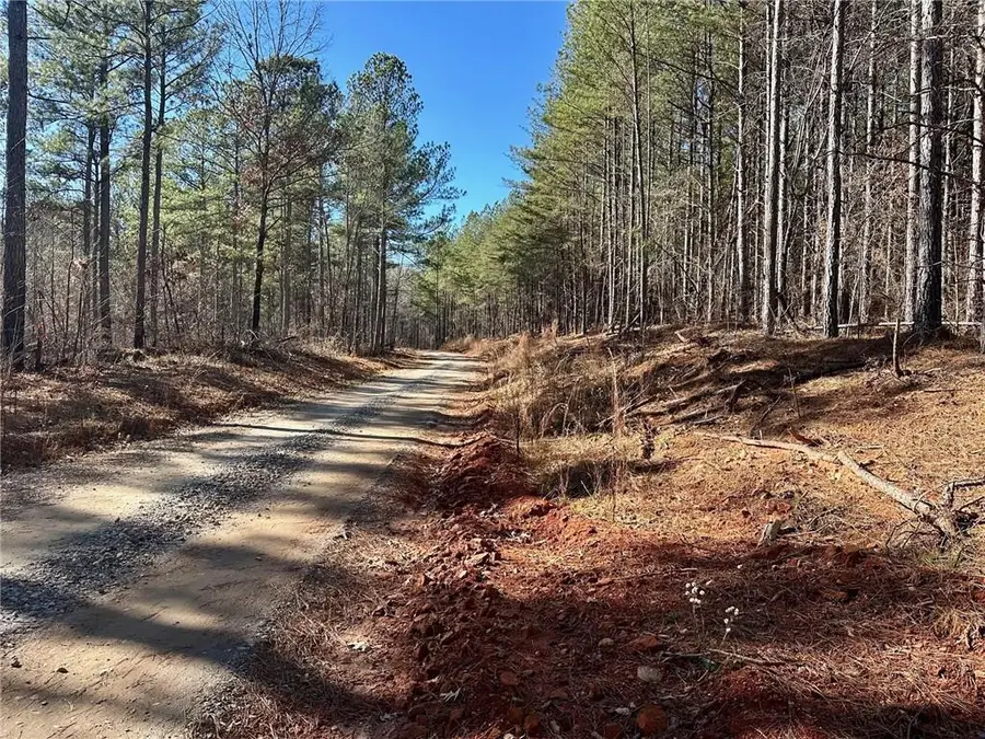 1107 Larmon Forks Road, Dahlonega, GA 30533 - #2