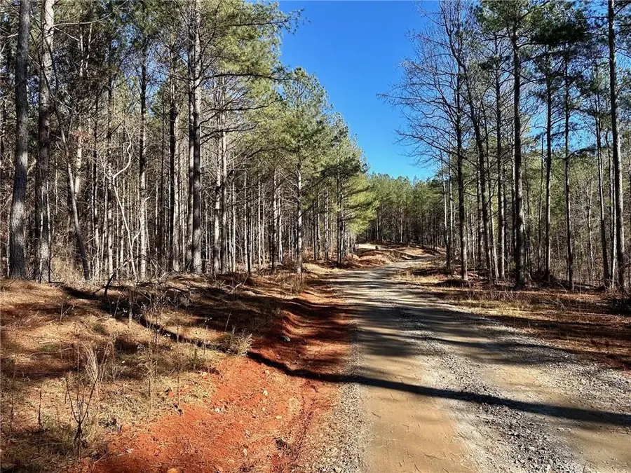 1107 Larmon Forks Road, Dahlonega, GA 30533 - #3