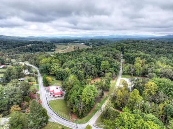 TR 2 Davis Road, Blue Ridge, GA 30513