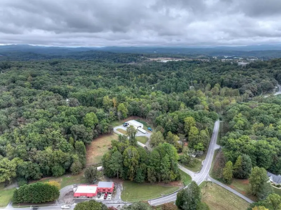TR 2 Davis Road, Blue Ridge, GA 30513 - #3