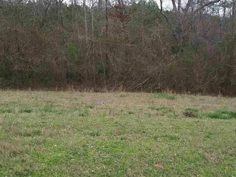 3515 Odessa Way, Loganville, GA 30052 - #1
