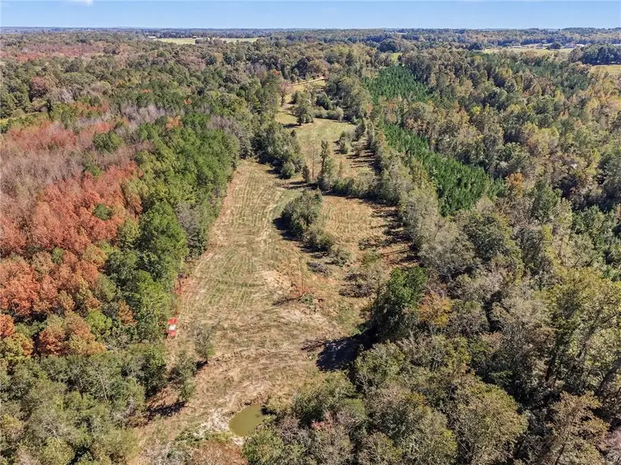 283 Winding Road, Bowdon, GA 30108 - #2