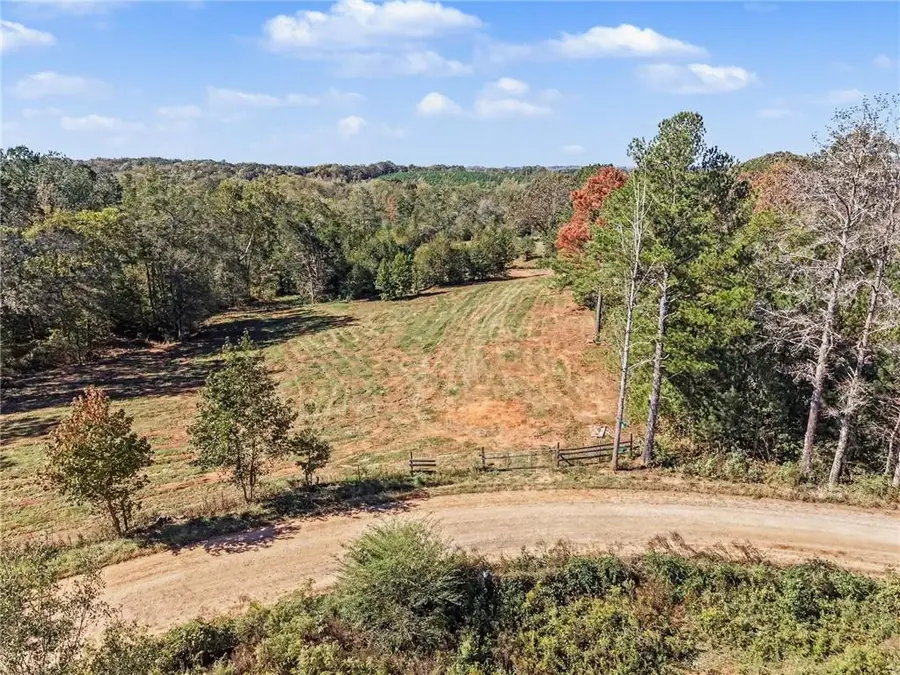 283 Winding Road, Bowdon, GA 30108 - #3