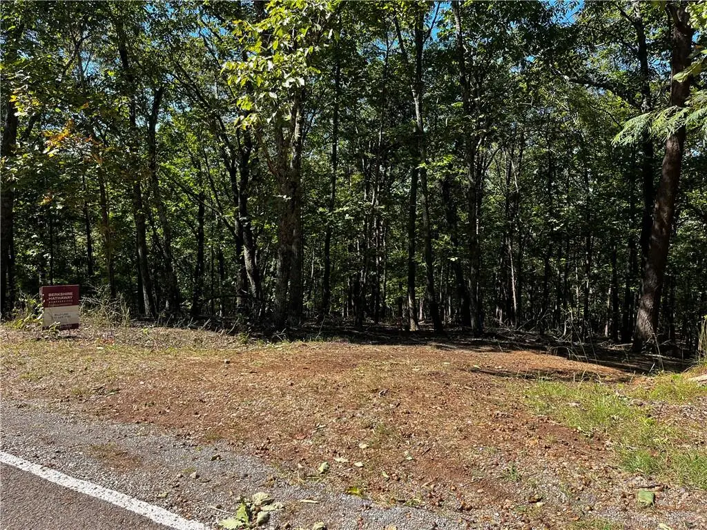 0 Firetower Road, Jasper, GA 30143 - #1