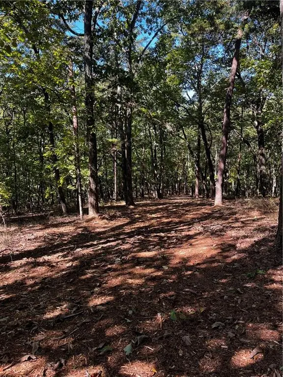 0 Firetower Road, Jasper, GA 30143 - #2