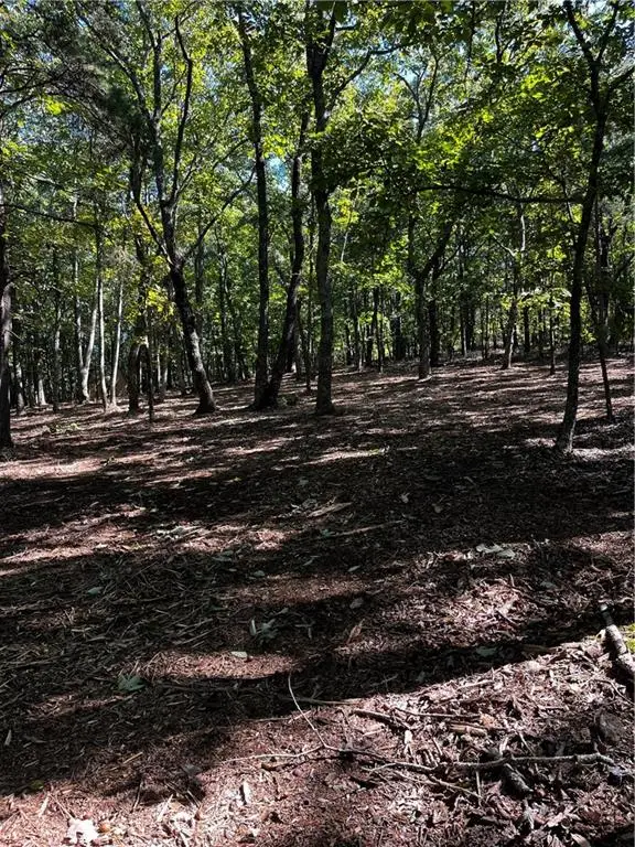 0 Firetower Road, Jasper, GA 30143 - #3