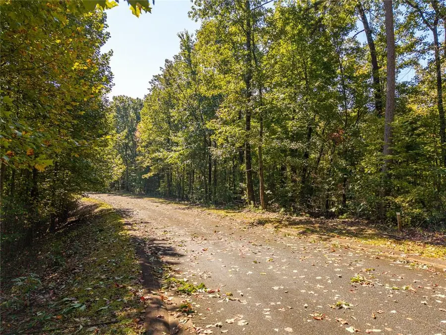 Lot 22 Abbott Mill, Ellijay, GA 30540 - #3
