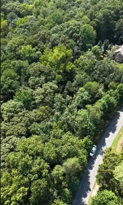 50 Somerset Lane, Cartersville, GA 30121 - #2