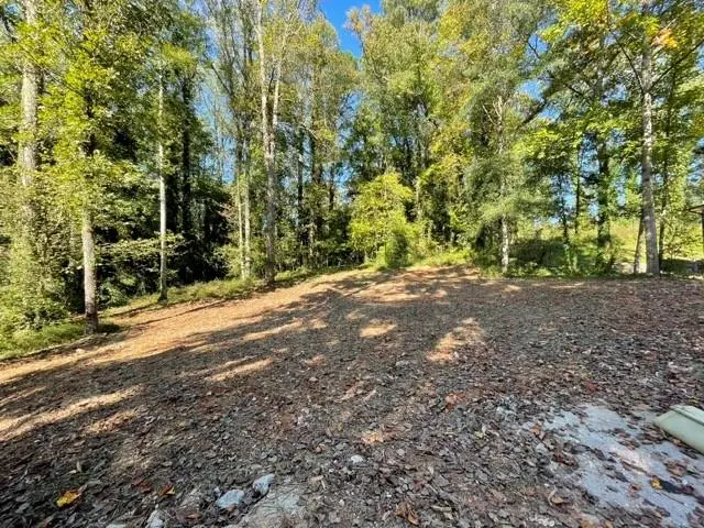 447 Martindale Court, Stone Mountain, GA 30088 - #3