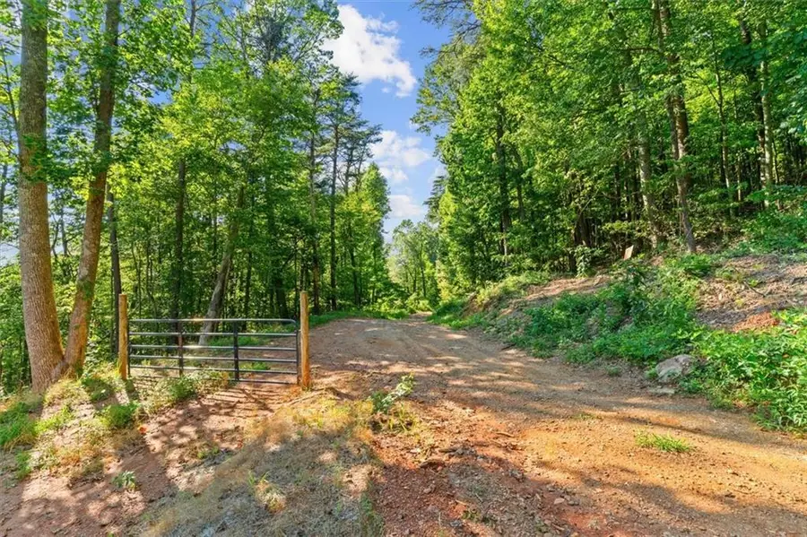 Lot 5 Firetower Rd, Jasper, GA 30143 - #3