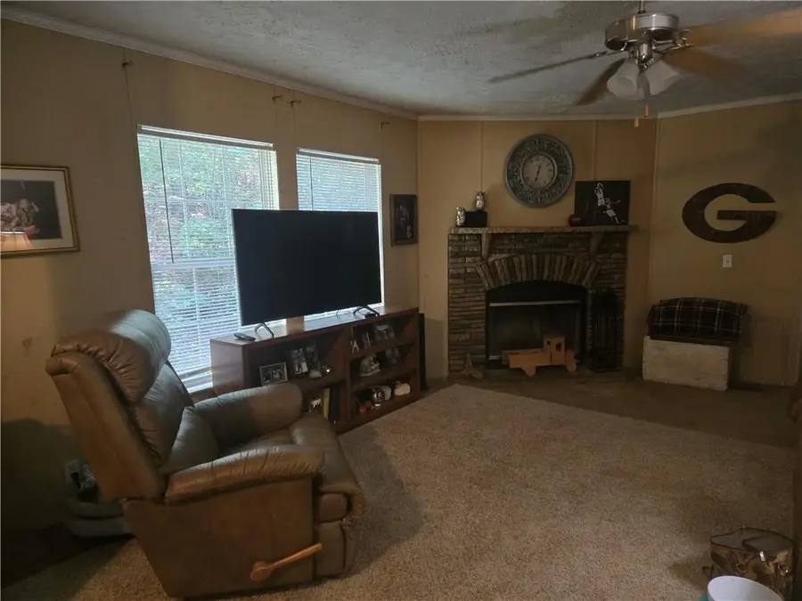 227 Cherokee Forest Park Drive, Ball Ground, GA 30107 - #3