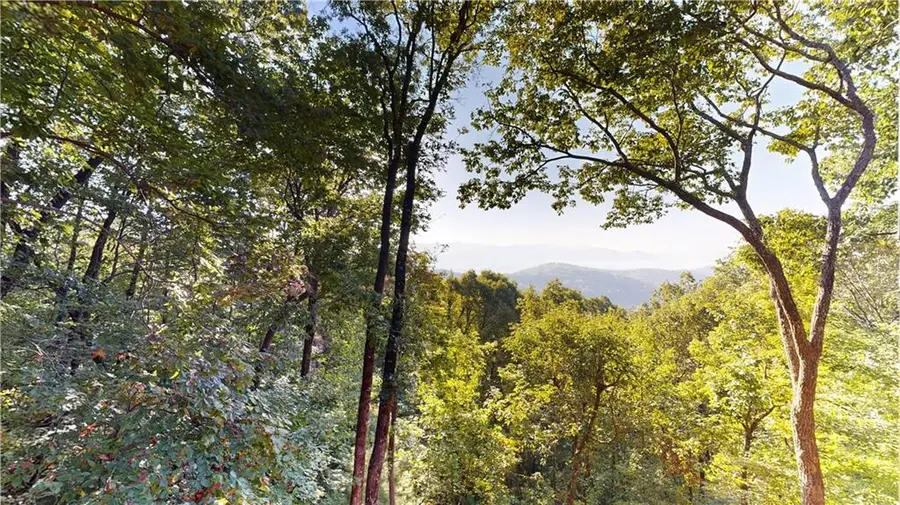 398 Mountain View Road, Ellijay, GA 30540 - #2