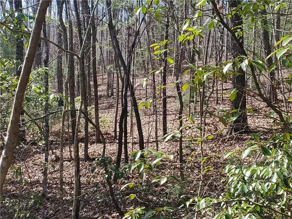 Lot 41 Trails End, Ellijay, GA 30540