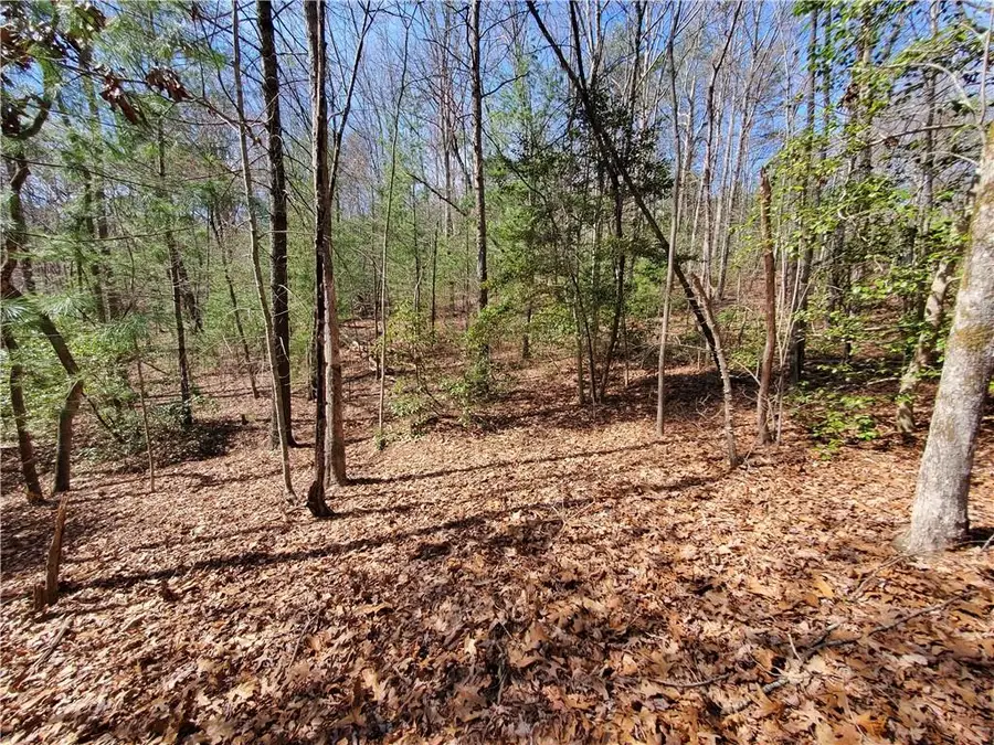 Lot 41 Trails End, Ellijay, GA 30540 - #2